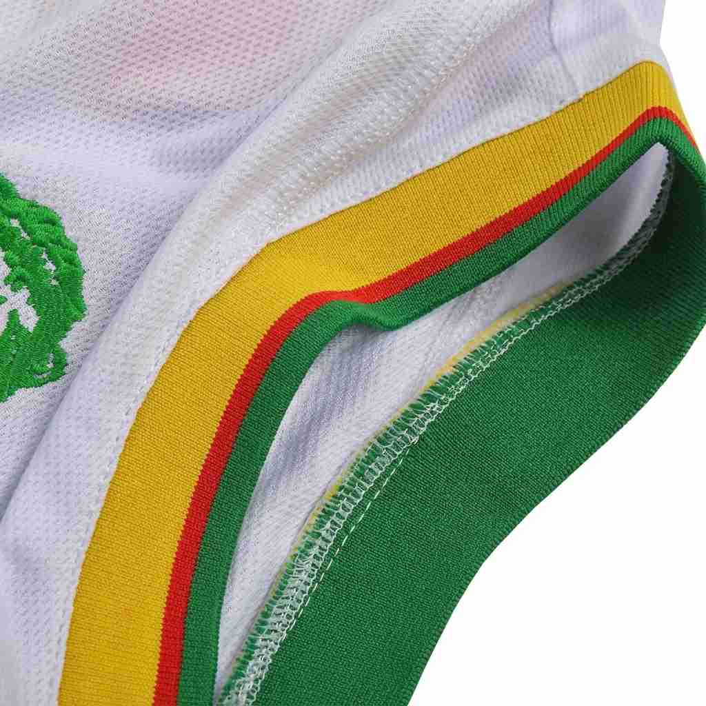 Retro 2002 Cameroon Away Jersey