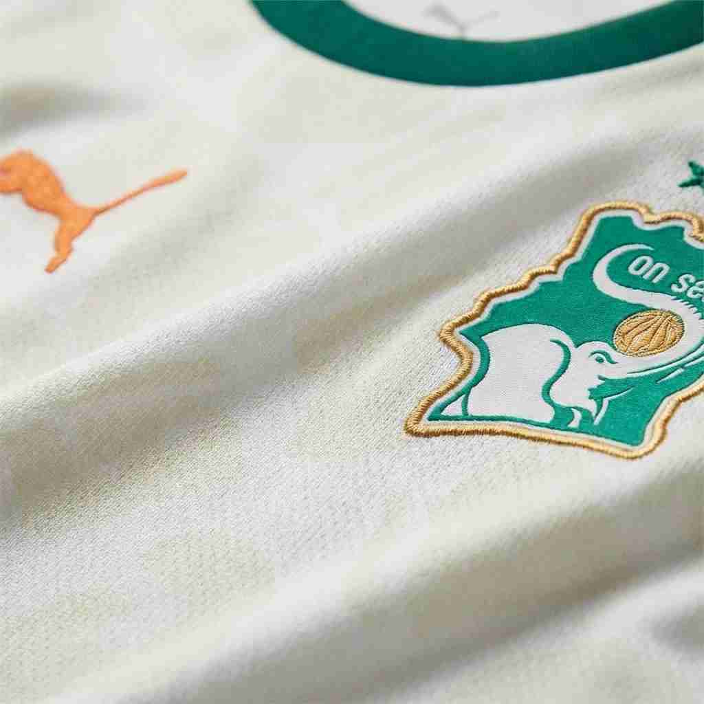 Cote d'Ivoire Away Jersey 2024/25
